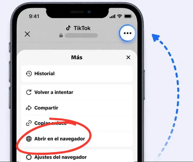 Cómo abrir en el navegador